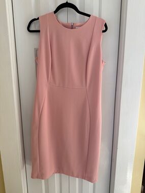Calvin Klein Sleeveless Pink Sheath Dress size 14